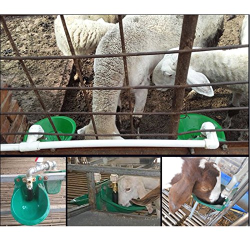 Yougoo Automatic Copper Valve Waterer Bowl Nipple Drinker For Goat