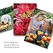 HP Celebrations Photo Paper Sample Pack | (5x7, 8.5x11, envelopes) 12 sheets DISCONTINUED BY MANUFACTURER