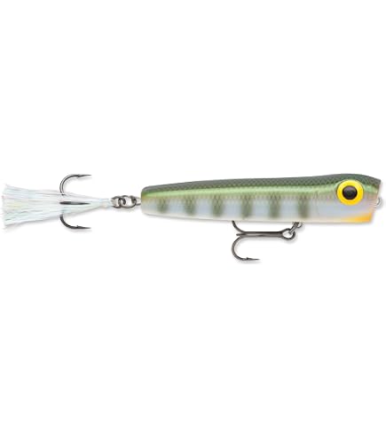 Storm CB081301 1/4-Ounce 2-1/2-Inch Chug Bug Fishing Lure, Bleeding Tenn Shad Finish, Multi, One Size : Fishing Topwater Lures And Crankbaits : Sports & Outdoors