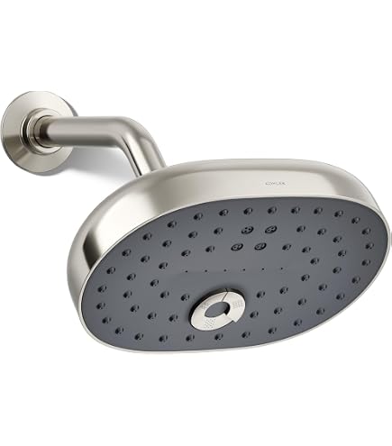 MOEN Bride de bras de douche laiton poli | Home Depot Canada