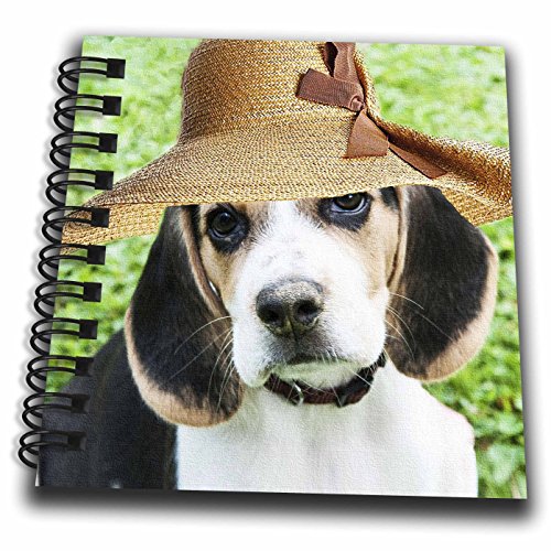 3D Rose Beagle Wearing a hat.Cute Dog. Funny Picture Mini Note Pad, 4" x 4"