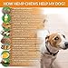 Primova - Advanced Dog Hip and Joint Calming Treats with Hemp Oil, Turmeric, Green Lipped Mussel, and Coconut Oil, Calming Chews for Dogs, Improves Mobility and Reduces Discomfort, 120 Soft Chews