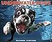 Underwater Dogs Calendar 2014