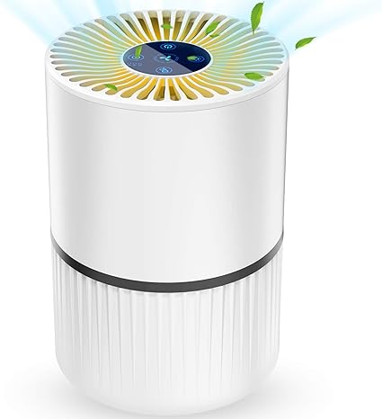 Luftreiniger Air Purifier Ionisator Mit Hepa Kombifilter 5 Stufenfilterung Mit 99 97 Filtrationsleistung Gegen Staub Und Haustier Allergene Fur Allergiker Raucher Asthma Amazon De Baumarkt