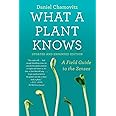 What a Plant Knows: A Field Guide to the Senses: Updated and Expanded Edition