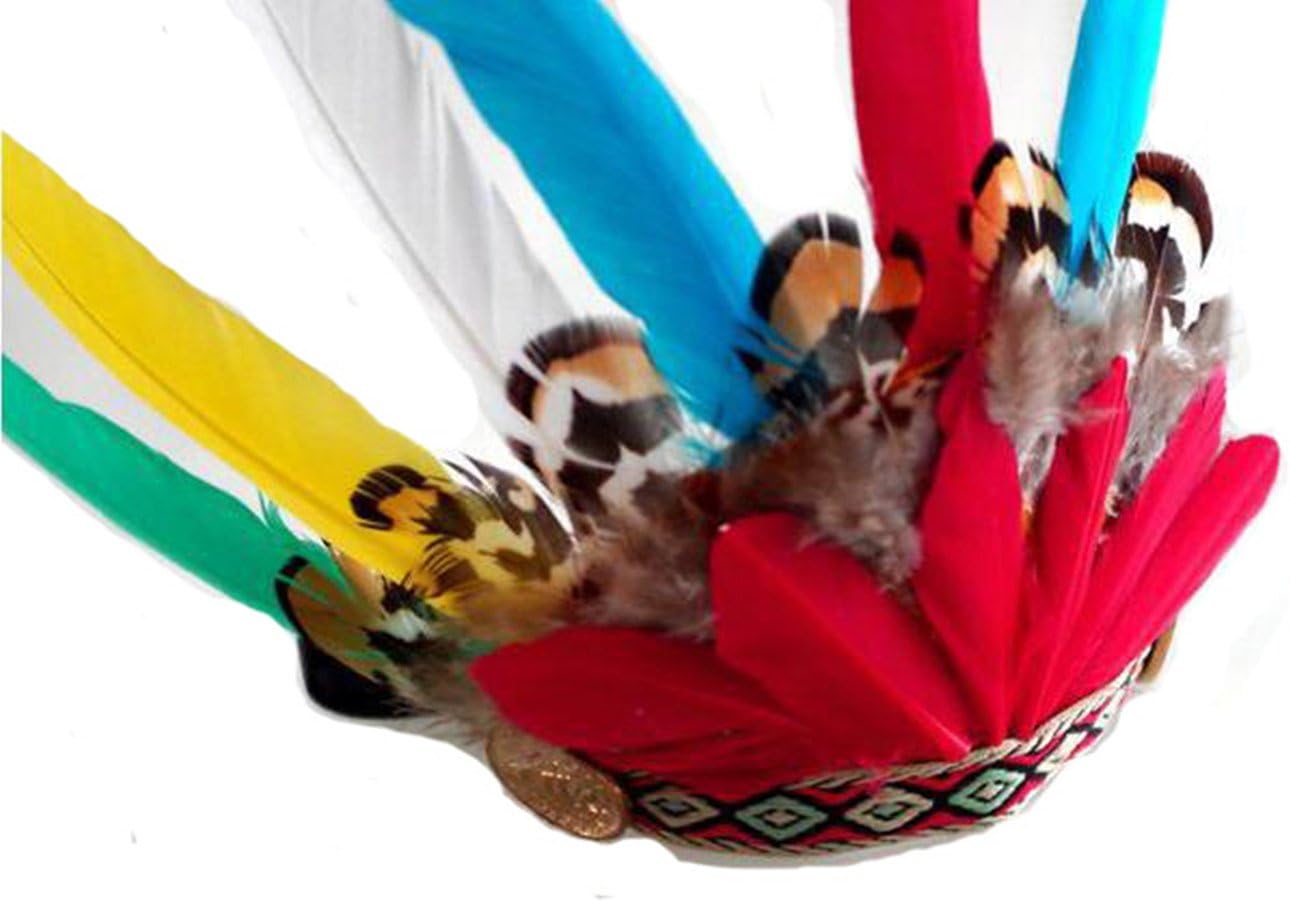 Dog hat-- Cat hat,Universal Native American Headdress for Pets,Indian-style For Halloween, dress-up parties