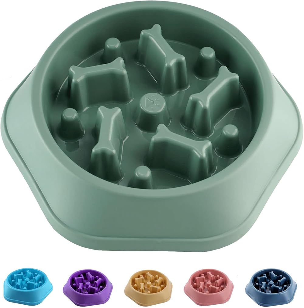 CAISHOW Slow Feeder Dog Bowl Small Medium Dogs Anti Gulping Non Slip