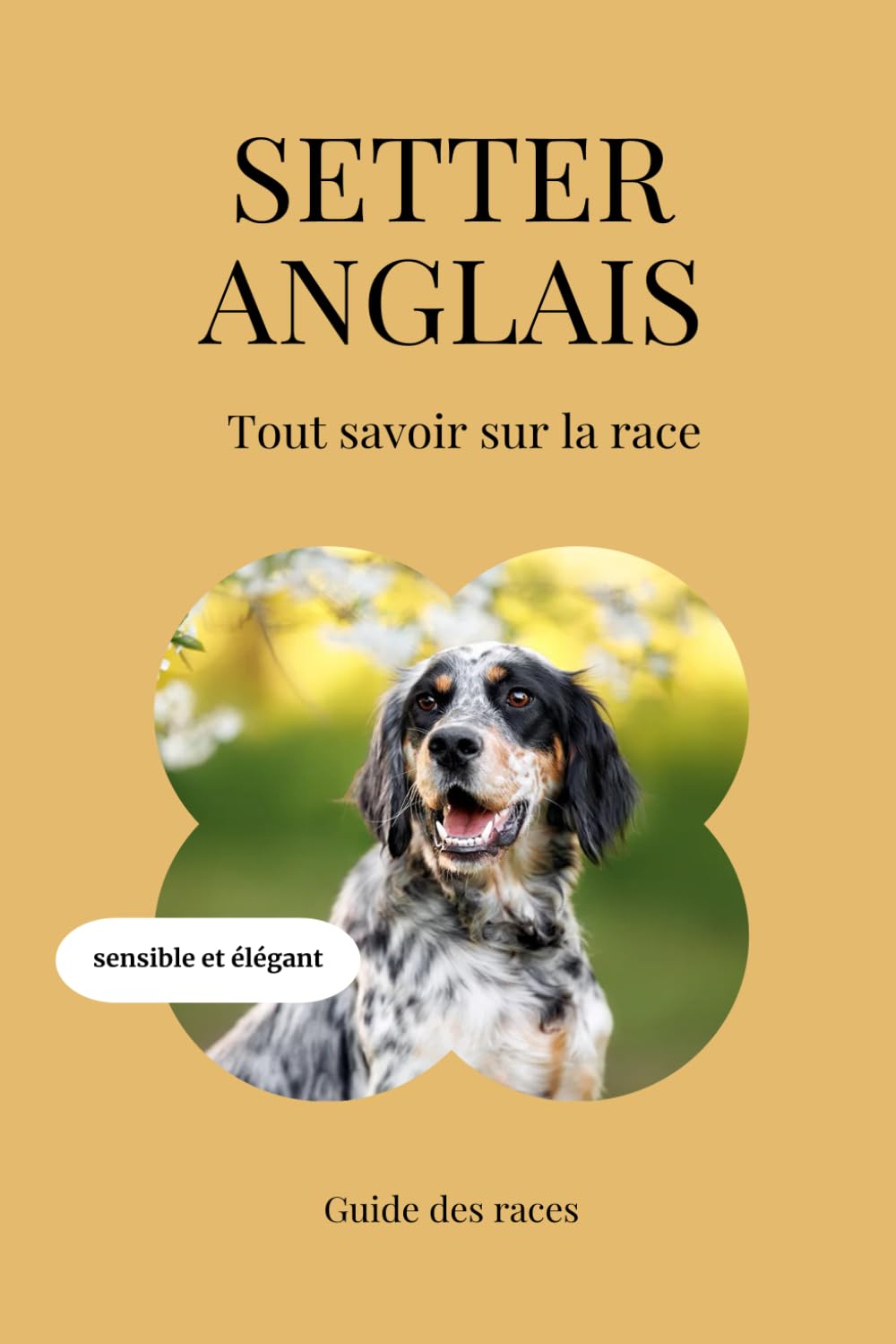 Setter Anglais - Tout savoir sur la race (2025) : un livre complet pour en apprendre plus sur le Setter Anglais