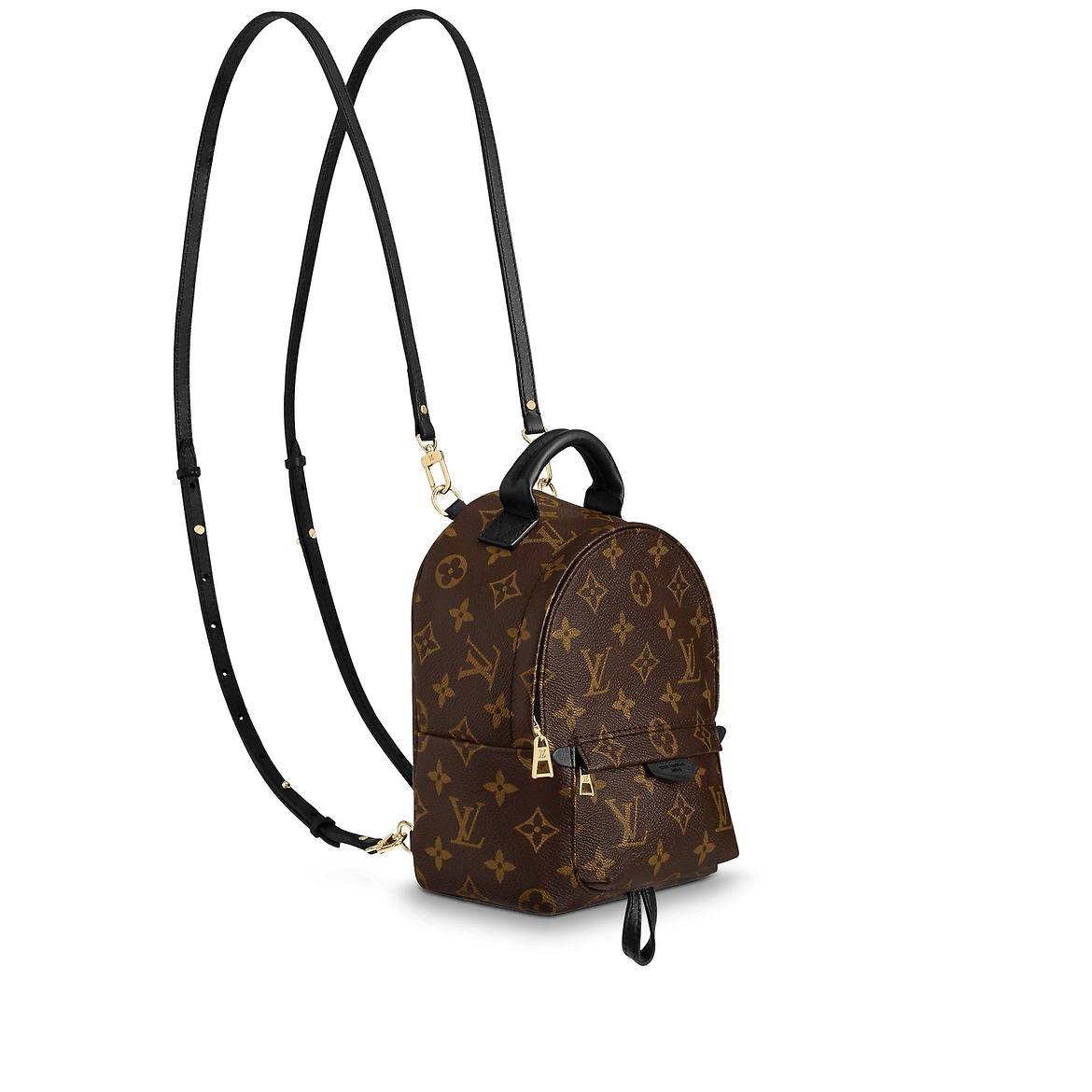 Amazon Com Louis Vuitton Palm Springs Mini Backpack M41562 Zen