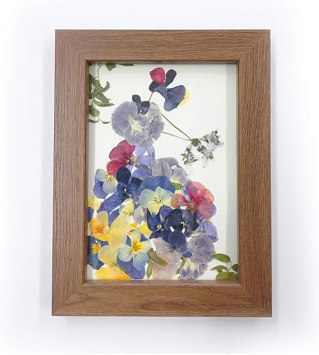 Amazon 押し花作品 額装 ドライフラワー オンライン通販