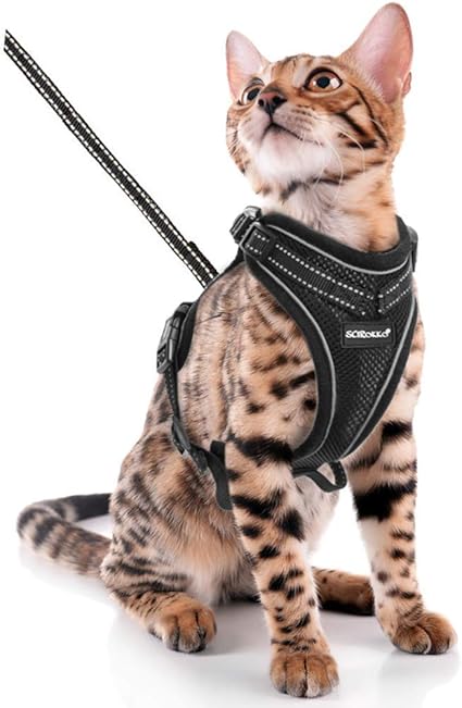 Scirokko Ensemble Harnais Et Laisse Pour Chat Harnais Reglable Anti Echappement Pour Chiot Avec Sangle Reflechissante Maille Souple Avec Clip En Metal Pour Chaton Et Lapin Amazon Fr Cuisine Maison