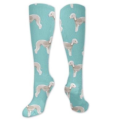 Amazon Com Bedlington Simple Crew Socks Cotton Casual Knitting Warm - image unavailable