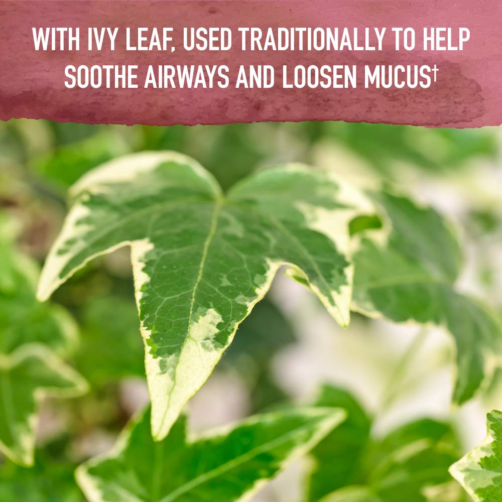 Garden of Life Organics Elderberry & Zinc for Children's Immune Support, Kids Cough & Mucus Immune Syrup with Ivy Leaf, Vitamin C and Echinacea for Children, Alcohol-Free, No Added Sugars, 3.92 fl oz