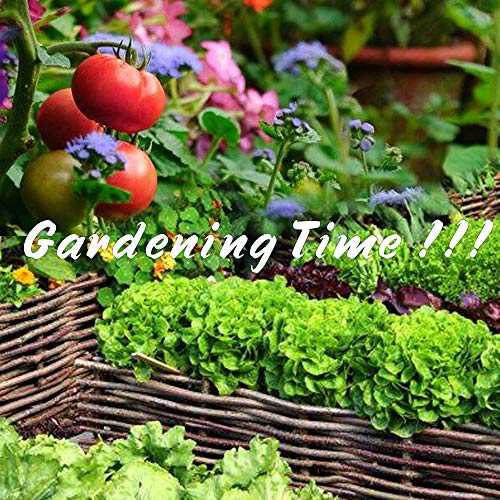 Gardening-Gifts Gardening Tools Set Garden Tools Set for Women Men Kid, Gardening Gloves Shears Portable Box Steel Garden Hand Tool Kit, Vegetable Herb Indoor Outdoor Storage Toolbox Gardener Supplies