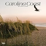 Carolina Coast 2019 12 x 12 Inch Monthly Square Wall Calendar, USA United States of America Southeast State Nature (Multilingual Edition) by