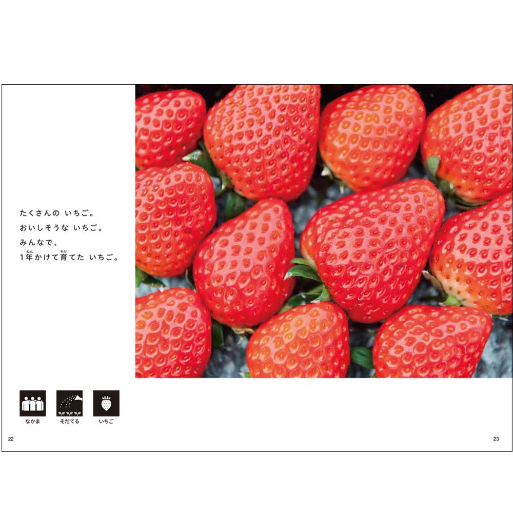 いちごを育てる仕事 輝美さんの1日 Llブックやさしくよめる本 仕事に行ってきます 克徳 藤井 武悟 野口 本 通販 Amazon