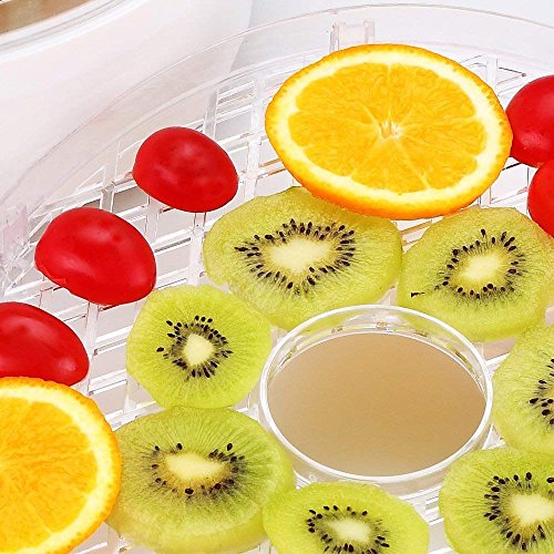 PowCube Food Dehydrator Fruit Dryer Machine Electric 5 Tier Food Preserver with Adjustable Temperature & Digital Timer