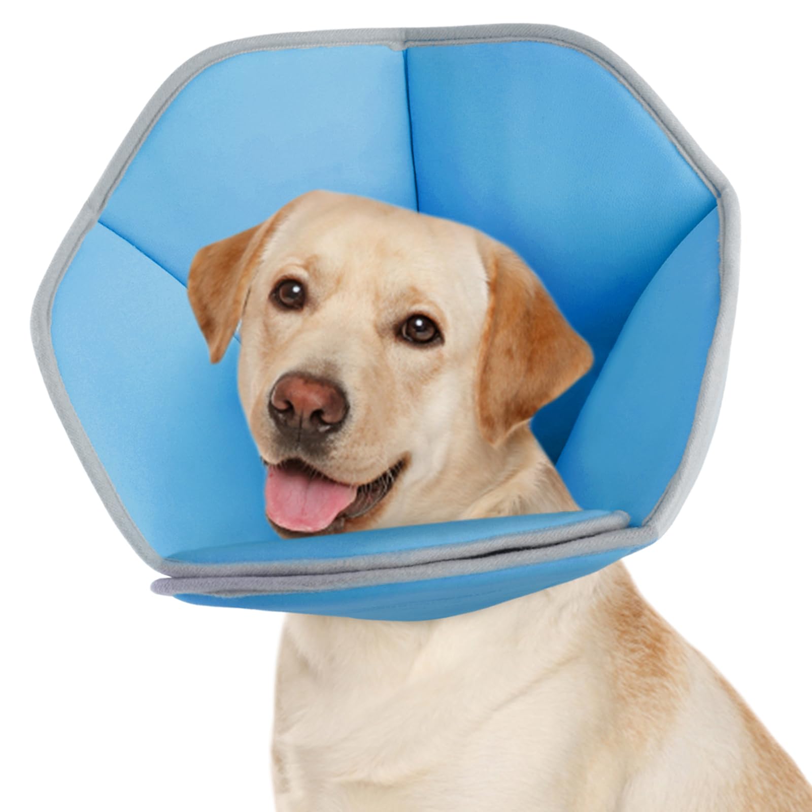 Photo 1 of Dog Cone Collar Alternative After Surgery - Comfortable Dog Neck Recovery E-Collar for Small, Medium & Large Dogs - Post-Surgery Protective Collar, Blue L