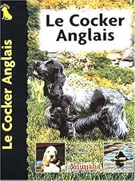 Le  cocker anglais