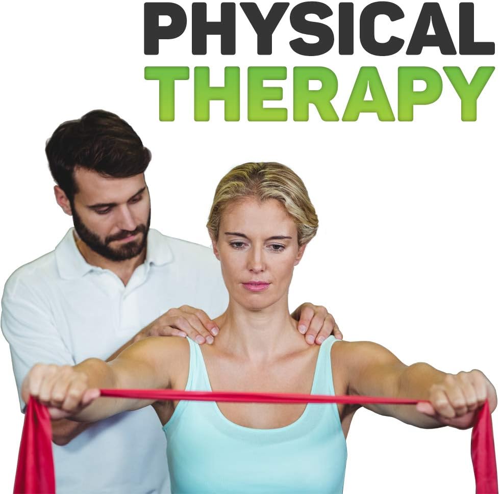 Premium Exercise Bands and Door Anchor | Fitness, Physical Therapy, Pilates Workout, Stretch | 6 Feet Long : Sports & Outdoors