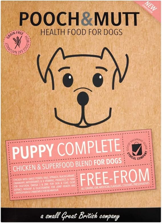 masha and bear doll set