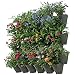 SELF Watering Indoor Outdoor Vertical Wall Hangers with Pots Included Wall Plant Hangers Each Wall Mounted Hanging Pot has 3 Pockets 36 Total Pockets in This Set Self Watering Planter 3 Year Warranty primary