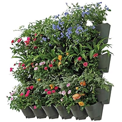Self Watering Vertical Wall