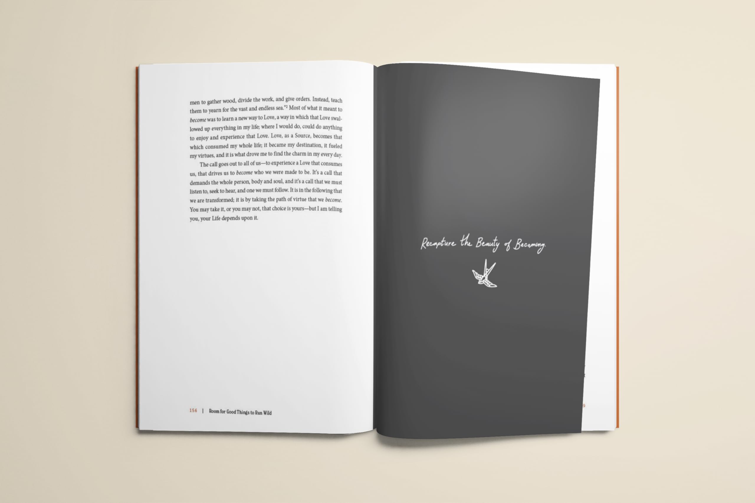 Room for Good Things to Run Wild: How Ordinary People Become Every Day Saints Room for Good Things to Run Wild: How Ordinary People Become Every Day Saints Hardcover Audible Audiobook Kindle Paperback Audio CD