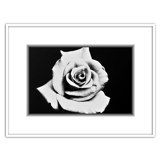 Feeby Art Block Quadro Rosa Con Cornice Nera Dimensione