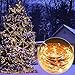 LED String Lights Dimmable with Remote Control, 66ft 200 LEDs Waterproof Christmas Decorative Lights for Bedroom, Balcony, Patio, Garden, Party, Wedding (Copper Wire, Warm White)