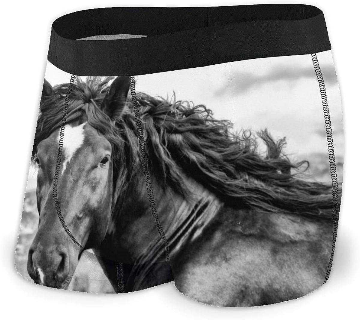Men's Boxer Briefs Horse Portrait in Mountain XL Underpants Knickers at