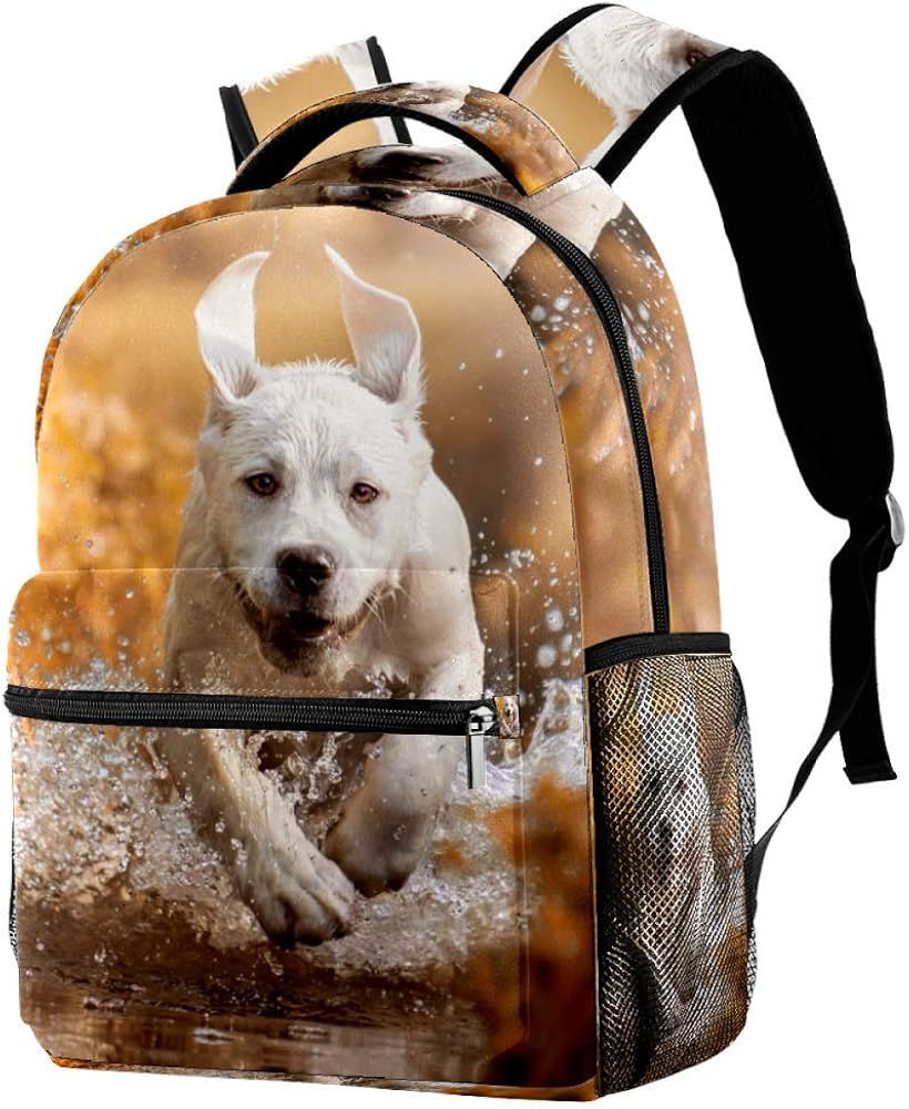 LORVIES Labrador Retriever Dog Running Autumn Sunshine Landscape Casual