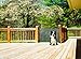 Binadboo Retractable indoor Safety Gate Sturdy and Durable Mesh | Super Safe 35