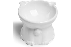 Wellbro Elevated Ceramic Cat Bowls, 15°Tilted Stand Anti Vomiting Raised Cat Food and Water Bowl, Whisker Friendly Pet Feeder for Cats Puppies, Microwave and Dishwasher Safe