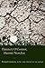 Flannery O'Connor, Hermit Novelist (Non Series) by Richard Giannone