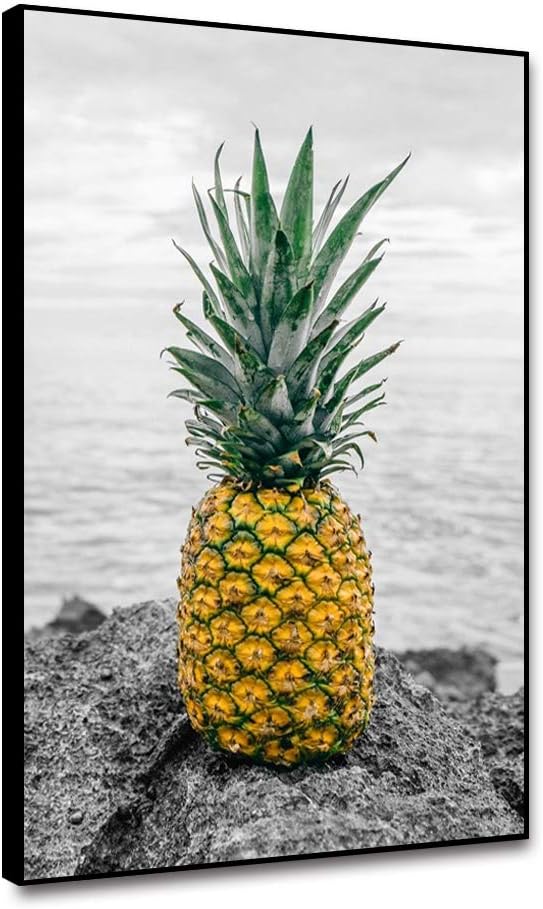 Musemailer Pineapple Canvas Wall Art 12