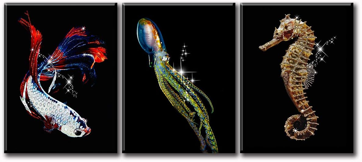 Canvas Wall Art Marine Life Sea Horse Fish Octopus Dark Underwater World Animal Posters Black Print Paintings Theme Bathroom Decorations Watercolor Stretched And Framed Ready To Hang Amazon Co Uk Welcome