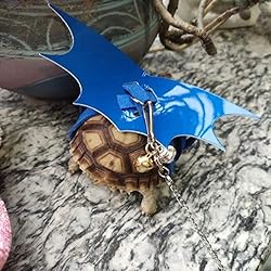 Turtle Harness and Leash with Wings Tortoise Leash