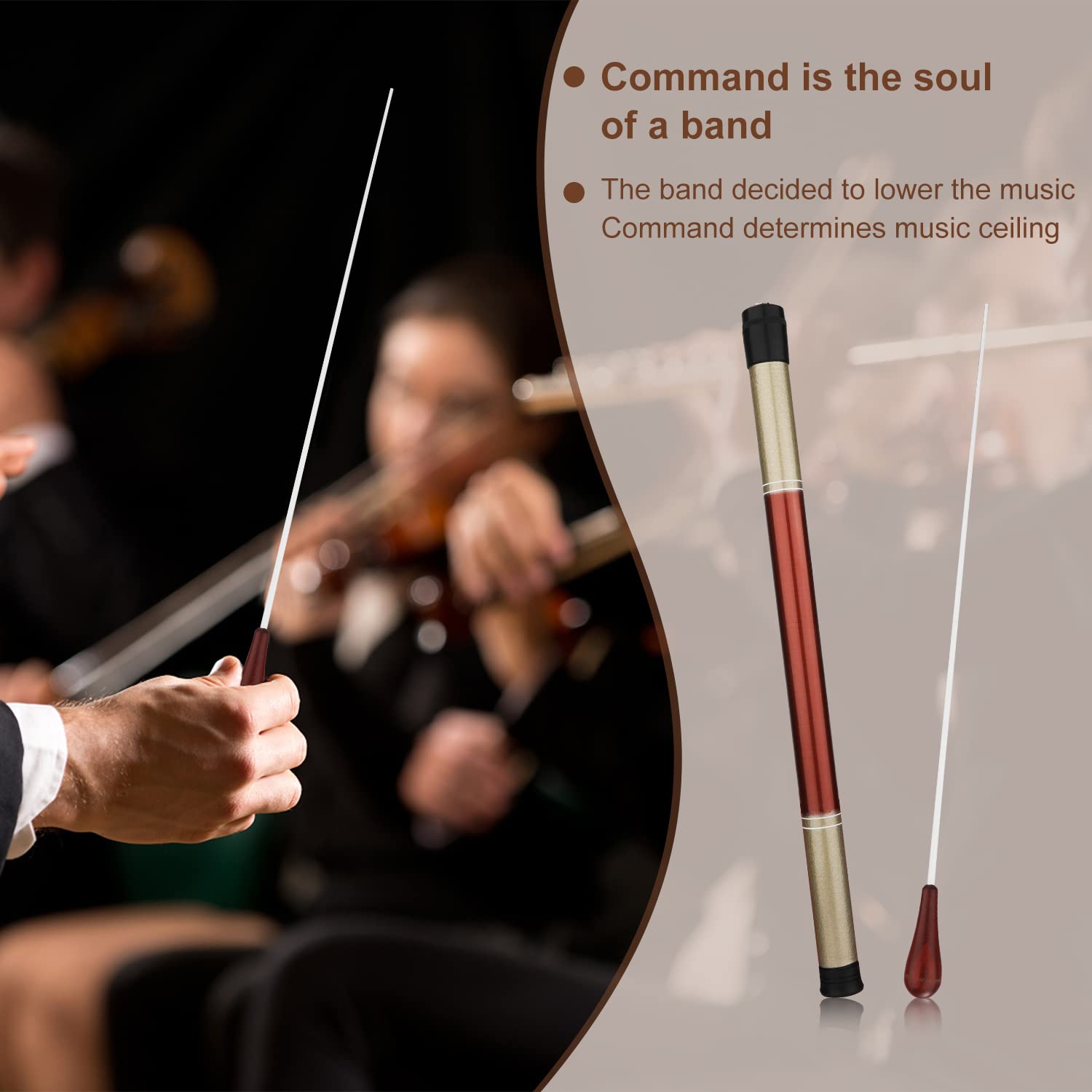 View 5