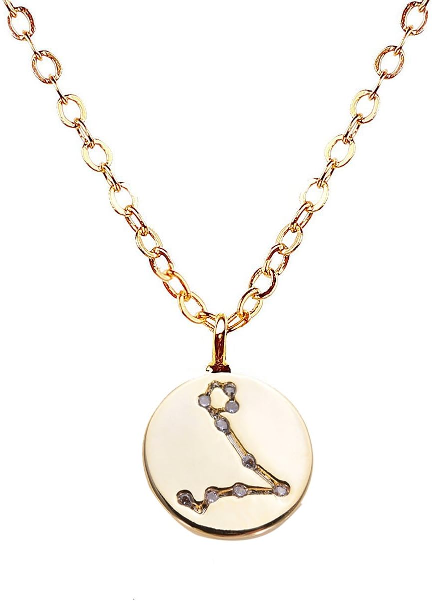 VIVIove Gold Zodiac Constellation Necklace Disc Horoscope Necklace Anniversaries Birthday Gifts