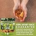 Seva Foods 4-Pack Organic Vanilla & Strawberry Space Ice Kream (Freeze Dried Astronaut Ice Cream - Vegan Non Dairy) and Chipotle Lime & Savory Coconut Jerky Soy-Free Vegan Strips, 6 oz Total Weight