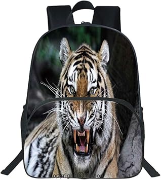 safari waterproof laptop bags