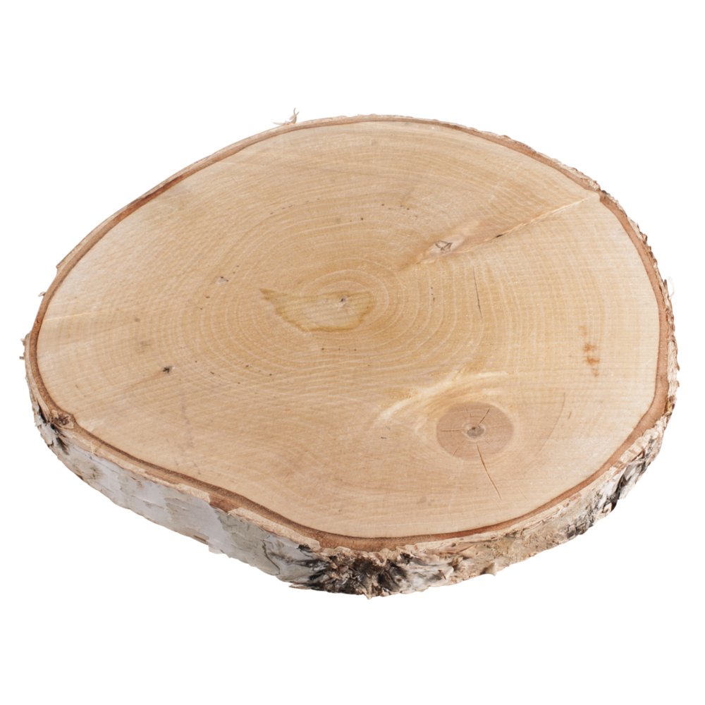 Rayher 55806000 birch disc, diameter 25-28 cm