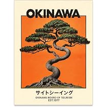 enttgo Japanese Canvas Wall Art Okinawa Prints Retro Japanese