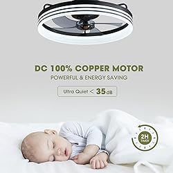 LUDOMIDE Ceiling Fans with Lights, Flush Mount