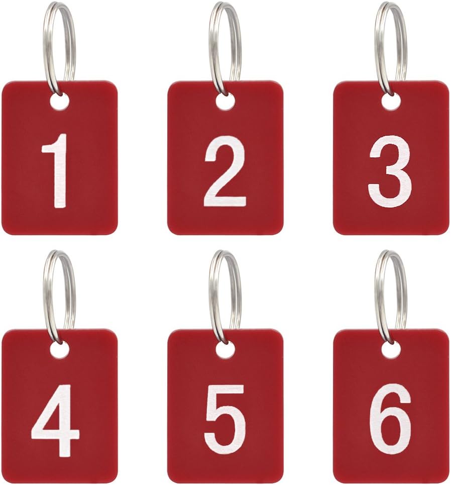 Aspire 50 Pack Numbered Tags with Key Ring Acrylic Tags for Organizing & Sorting