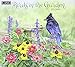 Birds in the Garden 2017 Calendar by