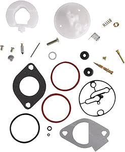 Amazon.com: Carburetor Repair Kits for Briggs & Stratton 796184 Master ...