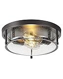 13 inch Black Ceiling Light, 2-Light Farmhouse