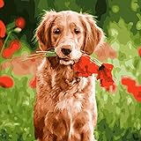 Paint by Numbers for Adults and Kids : DIY Painting Craft Kits, Frameless 16 x 20 Acrylic Paint Kit - 3 Brushes, Advanced Paint, Linen Canvas Set - Paintings by Number Golden Retriever Dog with Flower